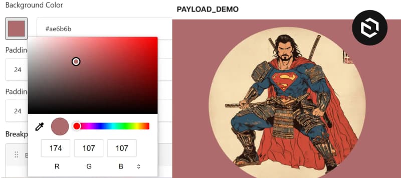 How to build color input in Payload CMS 3